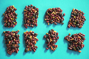 Wall Mural - Assortment of many kinds of beans on blue background