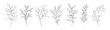 Set of black fine art floral branch, leaf, plants. Botanic delicate foliage outline pencil sketch leaves isolated on white background. Hand drawn line art black simple vector illustration