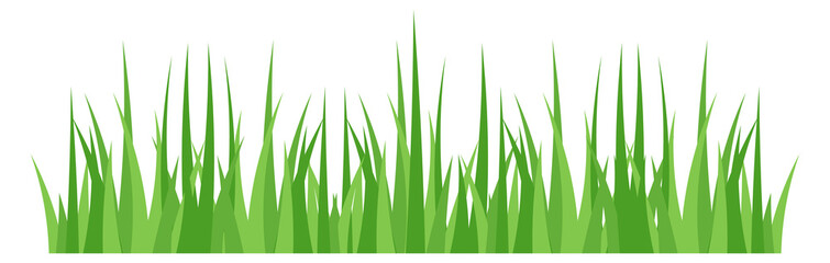 Sticker - Spring grass. Green fresh eco decoration border