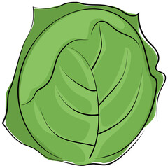 Wall Mural - Cabbage 