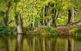 Fototapeta Sawanna - pond in the park with trees in autumn