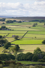 Canvas Print - UK countryside with farm land, Nidderdale, Yorkshire, England