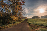 Fototapeta Na ścianę - Wąska wiejska droga jesienią na Śląsku w Polsce