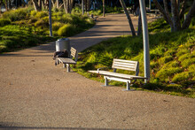 two park benches along a footpath with a jacket on one bench at Tongva Park with brown fallen leaves and lush green trees, plants and grass in Santa Monica California USA