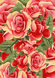 Fototapeta Konie - Floral 20221213 roses