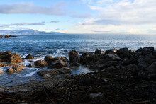 Rocks And Driftwood On The Shore Of The Mediterranean Sea In Antibes, France, In Winter