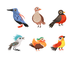 Poster - Bird as Winged Feathered Aves with Beaked Jaw Vector Set