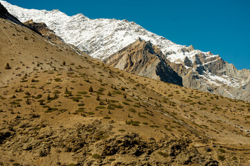 Wall Mural - landscape with snow