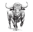© BigJoy - Angry bull runs towards the opposite direction hand drawn sketch Vector illustration