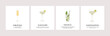 © millering - Set of classic cocktails recipe cards. Different alcoholic drinks in glasses with ice and garnishes. Summer aperitif. Mimosa, Mojito, Margarita and Daiquiri alcohol beverages. Vector flat illustration