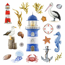 Seashore Coast Elements Set. Watercolor Illustration. Hand Drawn Lighthouse, Anchor, Pelican, Gull, Seaweed, Crab, Lifebuoy Element Collection. Marine Vintage Style Nautical Set. White Background