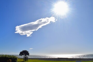 Wall Mural - Beautiful summer sunrise in Napier Beach, Hawke's Bay New Zealand 