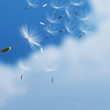 Fototapeta Dmuchawce - Dandelion seeds flying across on the blue sky. Generative AI