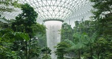 Lush indoor Singapore airport rainforest surround dome waterfall; parallax