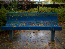 Wet Blue Bench With Leaves After Rain