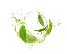 Green Herbal Tea Wave Splash With Leaves, Realistic Drink Flow. Vector Design With Fresh Water Organic Beverage And Splatters. 3d Advertising With Aqua Flow Motion And Plant, Natural Aroma Tea Ads