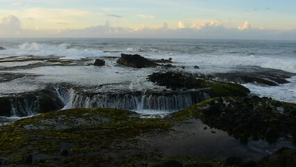 Wall Mural - beautiful waves on a seaweed-filled reef