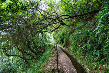 Poster - Hiking trail along Levada do Rei hike tour on Madeira island in Portugal