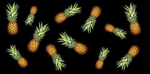 Digital painting of a pineapples.