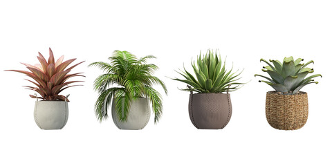 Wall Mural - plant in a pot