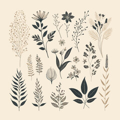 Sticker - Set botanical hand drawn element. Isolated on a white background. vector illustration