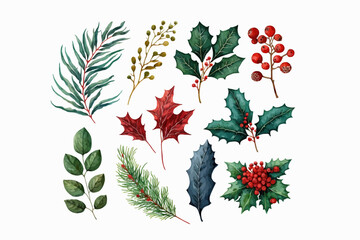 Sticker - Set of watercolor winter botanical leaf branch on white background. Isolated on a white background. vector illustration