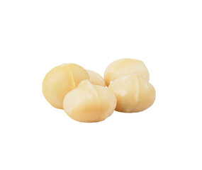  macadamia nut on  transparent png