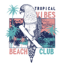 Parrot Hand Drawn Summer Beach Typography  Beach Scenery Palm Tree Sea Text Lettering Bird Poster Design T-shirt Print Graphic Vector