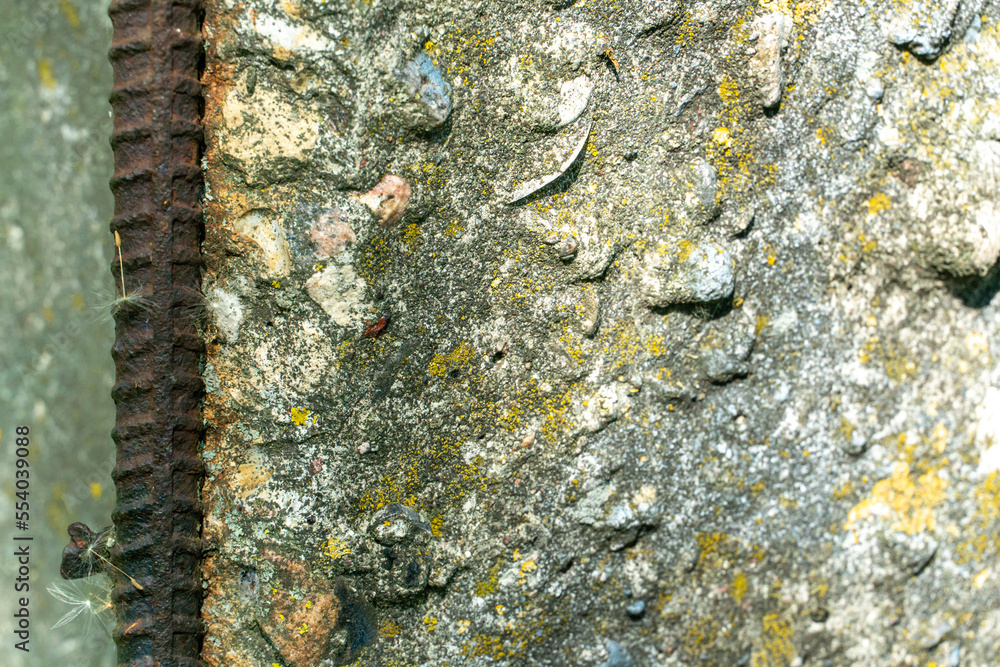 Concrete Rusted Material Old rusty reinforced concrete slab background. Destroyed on a ...