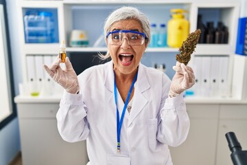 Sticker - Middle age woman with grey hair doing weed oil extraction at laboratory smiling and laughing hard out loud because funny crazy joke.