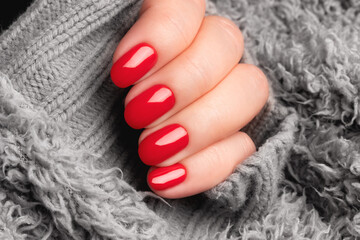 Wall Mural - Female hand with beautiful manicure - red nails on gray fluffy knitted fabric. Nail care concept