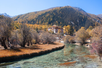 Chonggu meadow, Yading National Nature Reserve 