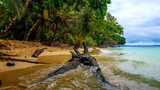 Fototapeta Fototapety z morzem do Twojej sypialni - plaża w tropikach