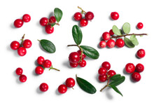 Lingonberry (fruits Of Vaccinium Vitis-idaea), Top View Isolated Png