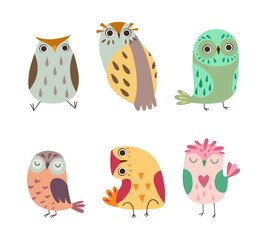 Wall Mural - Cute Little Owl with Colorful Plumage as Woodland Nocturnal Bird Vector Set