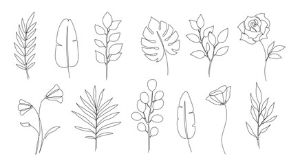 Wall Mural - Flower, floral leaf one line art. One continuous line art leaf, flower minimal design. Editable stroke eucalyptus branch, rose, poppy foliage floral element. Isolated vector illustration