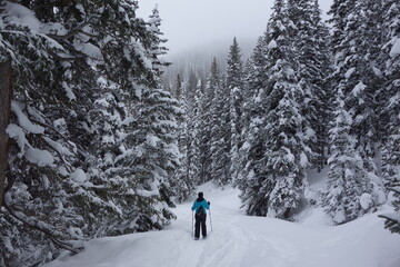 Snowshoeing in Snowy Forest (2)