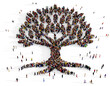  Crowd of people gathered together in the shape of large tree, top view, human evolution and genealogy concept, isolated on transparent background	 