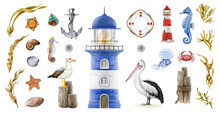 Seashore Coast Marine Element Big Set. Watercolor Illustration. Hand Drawn Lighthouse, Anchor, Pelican, Gull, Seaweed, Crab, Fish, Shell Elements. Marine Vintage Style Nautical Set. White Background