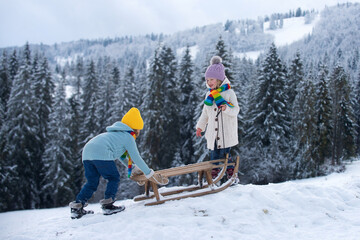 Wall Mural - Children sledding, riding a sledge. Children son and daughter play in snow in winter. Christmas landscape.