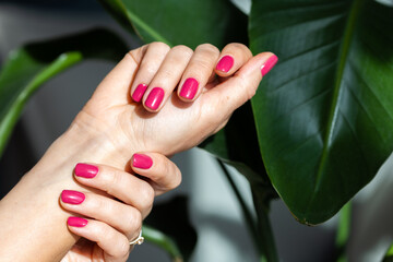 Close-up beautiful female hand with pink nails on green background. Manicure in trendy of 2023 year color viva magenta. Soft skin, skincare concept.