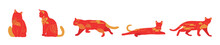 Set Of Red Chinese New Year Cats On White Background