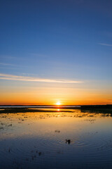 Wall Mural - Beautiful sunset at lake with birds