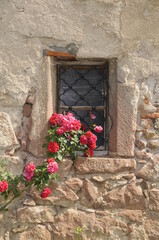 Poster - Blumenfenster in Riquewihr