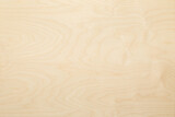 High key birch wood plank natural texture, plank texture background, plank tabletop background.
