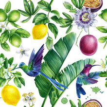 Tropical Fruits And Leaves, Lemon, Passionflower Cute Hummingbird Birds. Floral Seamless Pattern 