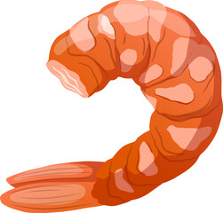 shrimp peeled cartoon. prawn raw, cooked meat, fresh pink king fish shrimp peeled vector illustration