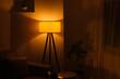 warm lighting, floor lamp with cylindrical lampshade close-up