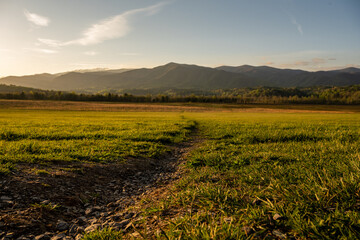 Wall Mural - Faint Trail Cuts Across Grassy Field In Cades Cove