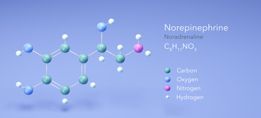 Poster - norepinephrine molecular structures, noradrenaline 3d model, Structural Chemical Formula and Atoms with Color Coding